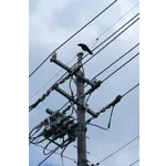 Art in Focus – High Museum Art in Focus – High Museum