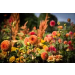 Fabulous Fall Treats Day Camp – Atlanta Botanical Garden Fabulous Fall Treats Day Camp – Atlanta Botanical Garden