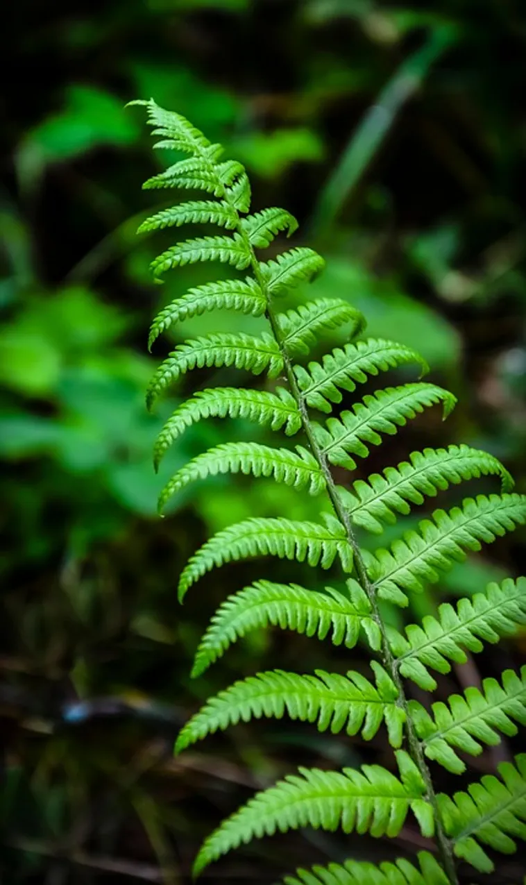 Dino Talk: Unraveling the Mysteries of Dinosaurs – Fernbank Museum Dino Talk: Unraveling the Mysteries of Dinosaurs – Fernbank Museum
