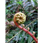 Discover Your Curiosity at Fernbank’s Exciting STEAM Lab! Discover Your Curiosity at Fernbank’s Exciting STEAM Lab!