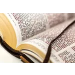 Exploring Nature Through Literature: A Discussion of ‘A Walk in the Woods’ by Bill Bryson – McDonough Public Library Exploring Nature Through Literature: A Discussion of ‘A Walk in the Woods’ by Bill Bryson – McDonough Public Library