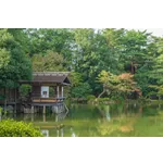 Exploring the Beauty of Nature – Atlanta Botanical Garden Exploring the Beauty of Nature – Atlanta Botanical Garden