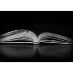 Infant Exploration Hour – Fortson Public Library Infant Exploration Hour – Fortson Public Library