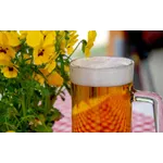 Chinese Watercolor: Peonies Exhibition – Atlanta Botanical Garden Chinese Watercolor: Peonies Exhibition – Atlanta Botanical Garden