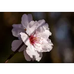 Frog Feeding Experience – Atlanta Botanical Garden Frog Feeding Experience – Atlanta Botanical Garden