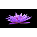 Exploring Nature: Drop-In Garden Tours – Atlanta Botanical Garden Exploring Nature: Drop-In Garden Tours – Atlanta Botanical Garden