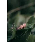 Coaster Design Workshop with Glad & Young Studio – High Museum Coaster Design Workshop with Glad & Young Studio – High Museum