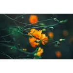 Frog Feeding Experience – Atlanta Botanical Garden Frog Feeding Experience – Atlanta Botanical Garden