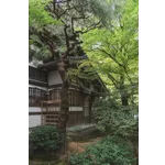 Discover the Beauty: Drop-In Garden Tours – Atlanta Botanical Garden Discover the Beauty: Drop-In Garden Tours – Atlanta Botanical Garden