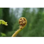 Explore the Wonders: Orkin Discovery Zone at Fernbank Museum of Natural History! Explore the Wonders: Orkin Discovery Zone at Fernbank Museum of Natural History!