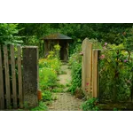 Explore the Beauty: Drop-In Garden Tours – Atlanta Botanical Garden Explore the Beauty: Drop-In Garden Tours – Atlanta Botanical Garden