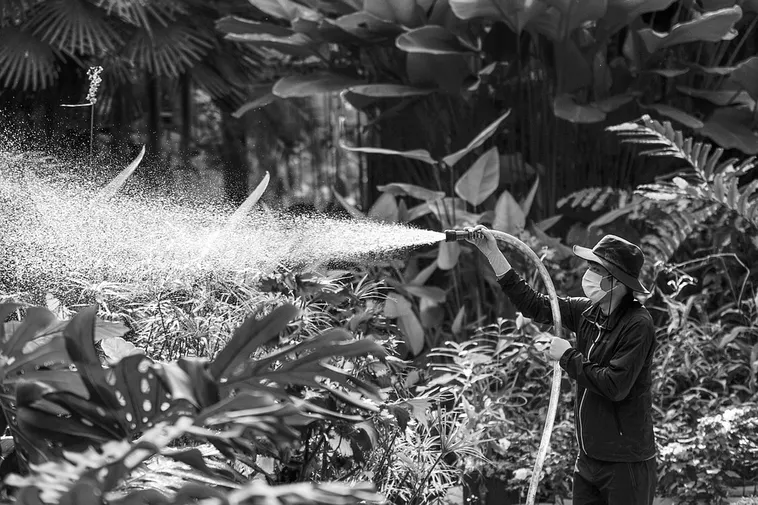 Kids Gardening Adventure – Atlanta Botanical Garden Kids Gardening Adventure – Atlanta Botanical Garden