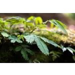 Fright Night: An Evening of Spooky Science – Fernbank Museum Fright Night: An Evening of Spooky Science – Fernbank Museum