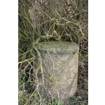 Exploring Mixed Media Illustration – High Museum Exploring Mixed Media Illustration – High Museum