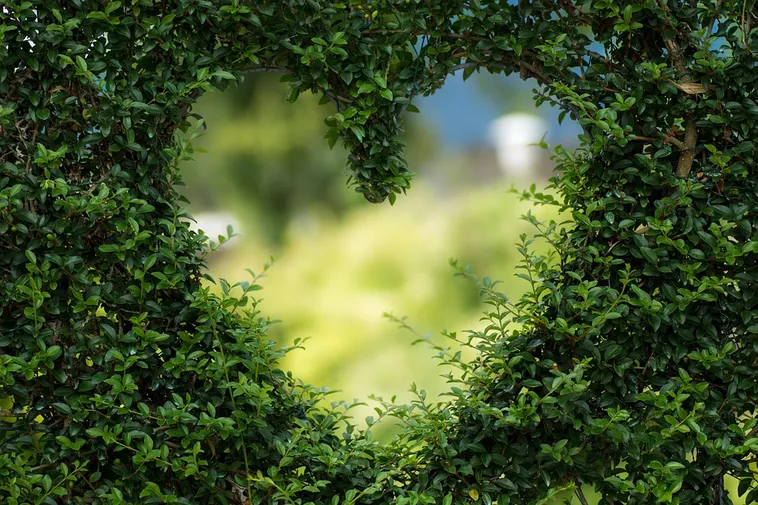 Creative Kids Gardening Workshop – Atlanta Botanical Garden Creative Kids Gardening Workshop – Atlanta Botanical Garden