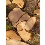 Experience in Perspective – High Museum Experience in Perspective – High Museum