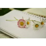 Creative Expressions: Arty Drawing Party – McDonough Public Library Creative Expressions: Arty Drawing Party – McDonough Public Library