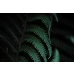 Bugs Bonanza: A Celebration of Entomology – Fernbank Museum Bugs Bonanza: A Celebration of Entomology – Fernbank Museum