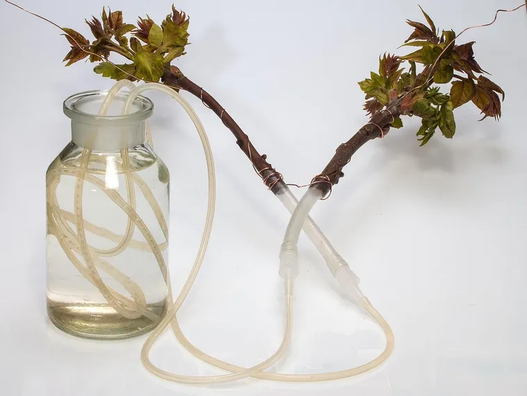 Access for All: Inclusion in the Arts – High Museum Access for All: Inclusion in the Arts – High Museum