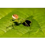 Garden Playtime: Discover Nature’s Wonders – Atlanta Botanical Garden Garden Playtime: Discover Nature’s Wonders – Atlanta Botanical Garden