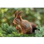 Autumn Adventures for Families – Atlanta Botanical Garden Autumn Adventures for Families – Atlanta Botanical Garden