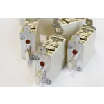 Watercolor Painting Basics – High Museum Watercolor Painting Basics – High Museum