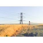 Artistry in Focus – High Museum Artistry in Focus – High Museum