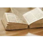 A Walk in the Woods: Book Club Discussion – McDonough Public Library A Walk in the Woods: Book Club Discussion – McDonough Public Library