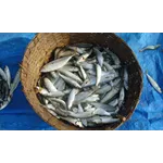 Printmaking Workshop: Press Shop Experience – High Museum Printmaking Workshop: Press Shop Experience – High Museum