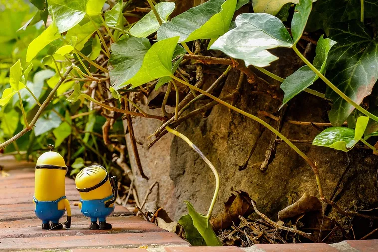 Navigating Challenges: Understanding Error Pages – Fernbank Navigating Challenges: Understanding Error Pages – Fernbank