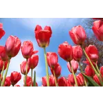 Storybook Adventures – Atlanta Botanical Garden Storybook Adventures – Atlanta Botanical Garden