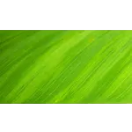 Craft Beer Celebration – Atlanta Botanical Garden Craft Beer Celebration – Atlanta Botanical Garden