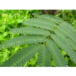 Discover, Create, Innovate: Join the STEAM Lab at Fernbank Museum! Discover, Create, Innovate: Join the STEAM Lab at Fernbank Museum!