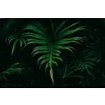 Bugs Uncovered: Explore the Fascinating World of Insects – Fernbank Museum Bugs Uncovered: Explore the Fascinating World of Insects – Fernbank Museum