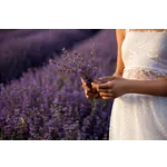 Discover the Beauty of Nature: Drop-In Garden Tours – Atlanta Botanical Garden Discover the Beauty of Nature: Drop-In Garden Tours – Atlanta Botanical Garden