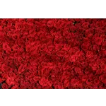 Autumn Adventures for Families – Atlanta Botanical Garden Autumn Adventures for Families – Atlanta Botanical Garden