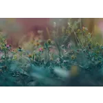 Guided Garden Discovery – Atlanta Botanical Garden Guided Garden Discovery – Atlanta Botanical Garden