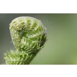 Discover the Enchantment of Tiny Doors ATL at Fernbank Museum! Discover the Enchantment of Tiny Doors ATL at Fernbank Museum!
