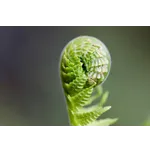 Insect Insight: A Celebration of Nature – Fernbank Museum Insect Insight: A Celebration of Nature – Fernbank Museum