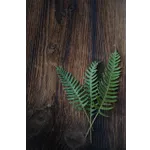 Sensory Exploration Morning – Fernbank Museum Sensory Exploration Morning – Fernbank Museum