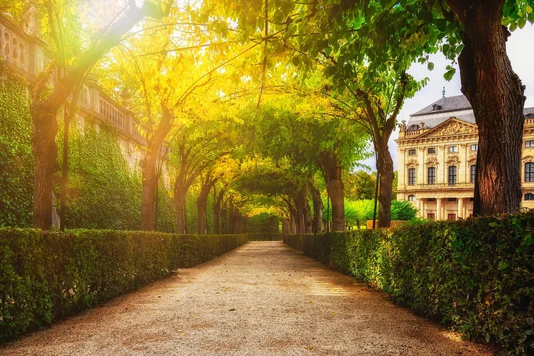 Orchid Elegance: A Celebration of Nature – Atlanta Botanical Garden Orchid Elegance: A Celebration of Nature – Atlanta Botanical Garden