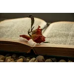 Halloween Family Fun Festival – Cochran Public Library Halloween Family Fun Festival – Cochran Public Library