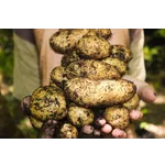 Docent Training Program – Atlanta Botanical Garden Docent Training Program – Atlanta Botanical Garden