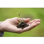 Exploring Nature: Drop-In Garden Tours – Atlanta Botanical Garden Exploring Nature: Drop-In Garden Tours – Atlanta Botanical Garden