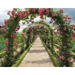 Garden Playtime Experience – Atlanta Botanical Garden Garden Playtime Experience – Atlanta Botanical Garden