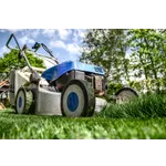 Garden Playtime: Engaging Activities for All Ages – Atlanta Botanical Garden Garden Playtime: Engaging Activities for All Ages – Atlanta Botanical Garden