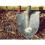 Explore the Beauty: Drop-In Garden Tours – Atlanta Botanical Garden Explore the Beauty: Drop-In Garden Tours – Atlanta Botanical Garden