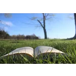 Preschool Storytime Adventure – McDonough Public Library Preschool Storytime Adventure – McDonough Public Library