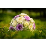 Botanical Holiday Spectacle – Atlanta Botanical Garden Botanical Holiday Spectacle – Atlanta Botanical Garden