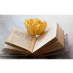 Toddler Playdate Adventure – McDonough Public Library Toddler Playdate Adventure – McDonough Public Library